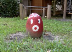 甲子園