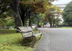 ちょっぴり